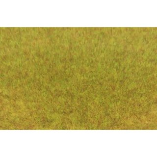 Grasfaser Wildgras Herbst 75g, 5-6 mm