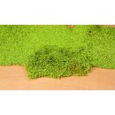 Blätterflor hellgrün, 28x14 cm