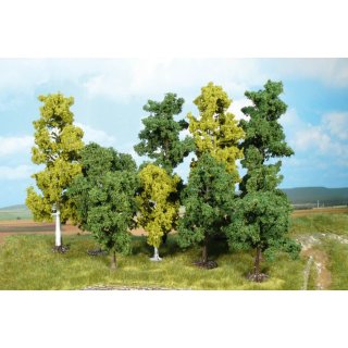 40 Bäume Super Artline 10-18cm
