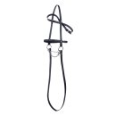 Hobby Horse hellbraun