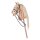 Hobby Horse hellbraun