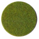 Grasfaser Frühlingswiese 100g, 2-3 mm