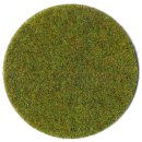 Grasfaser Sommerwiese 100g, 2-3 mm