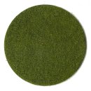 Grasfaser mittelgrün 50g, 2-3 mm